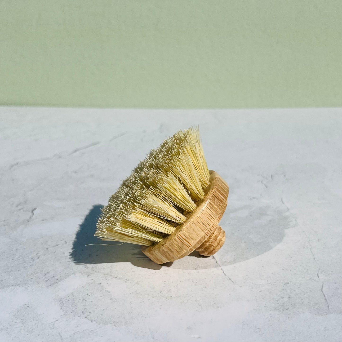 Brosse à vaisselle à tête interchangeable compostable