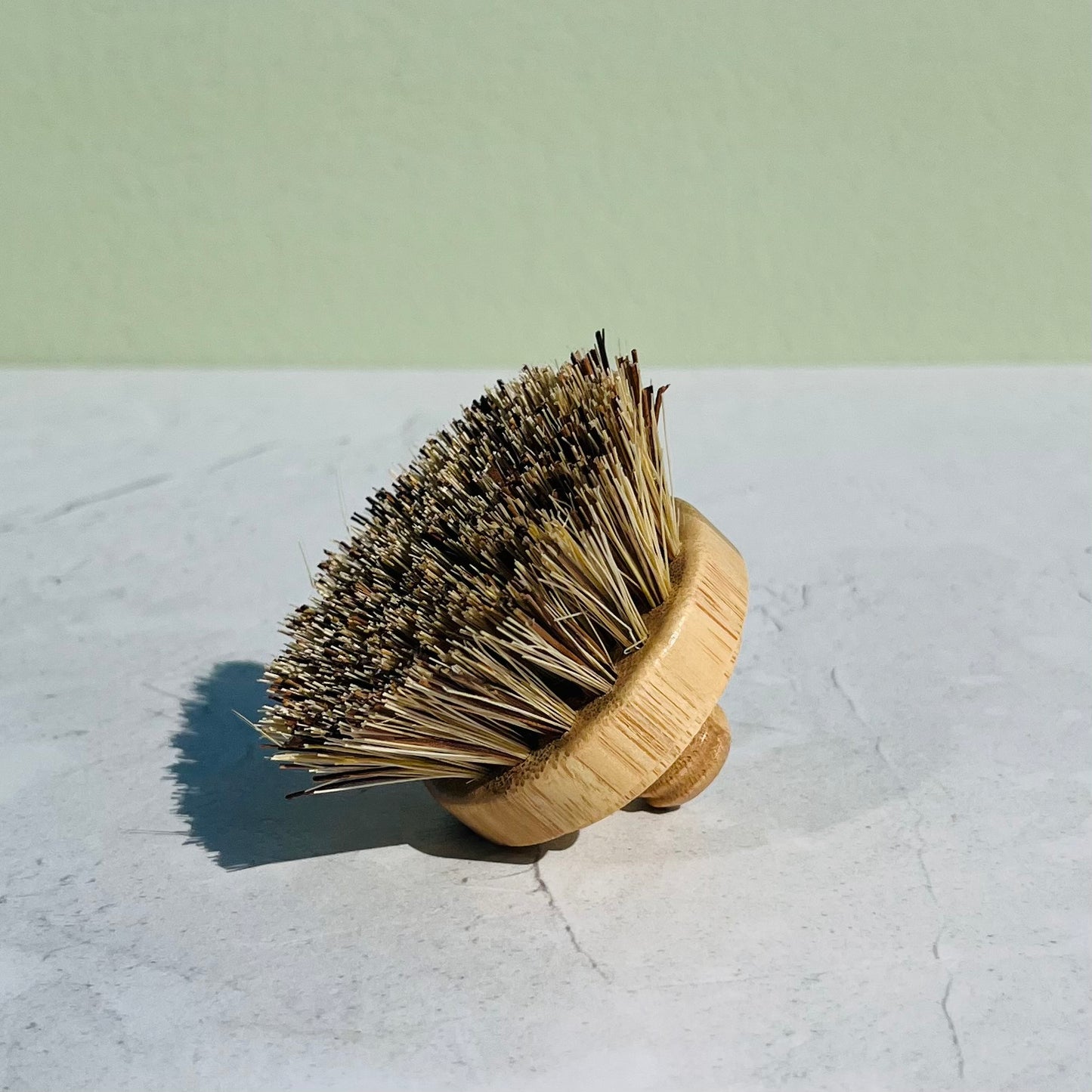 Brosse à vaisselle à tête interchangeable compostable