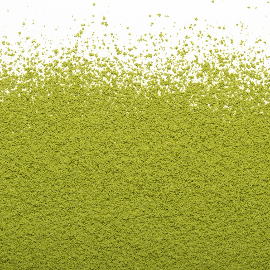 Matcha Barista Japon Camellia Sinensis - Vrac