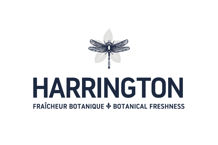 Eau de source pétillante - Thé des bois