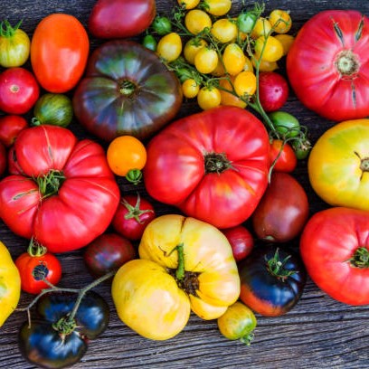 Tomate beef