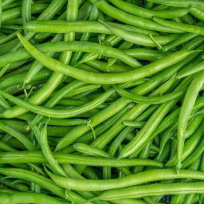 Haricots verts