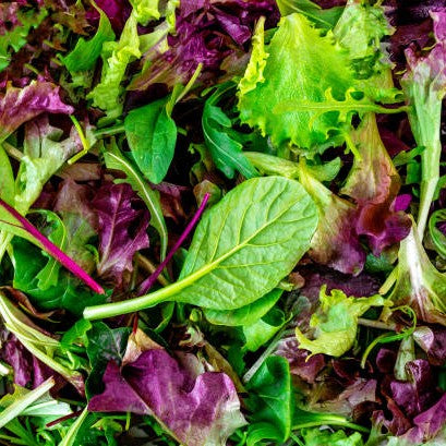 Mesclun