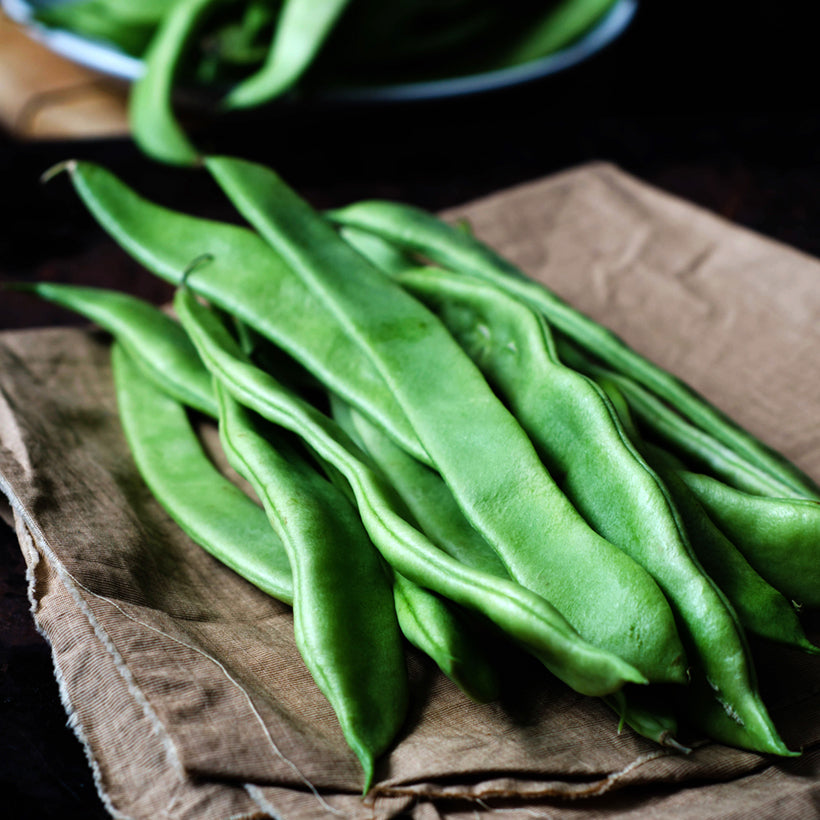 Haricots Roma