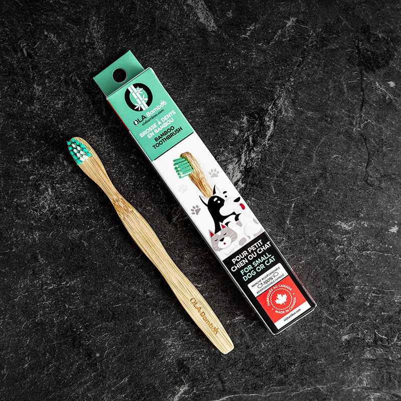 Brosse à dents pour animaux en bambou