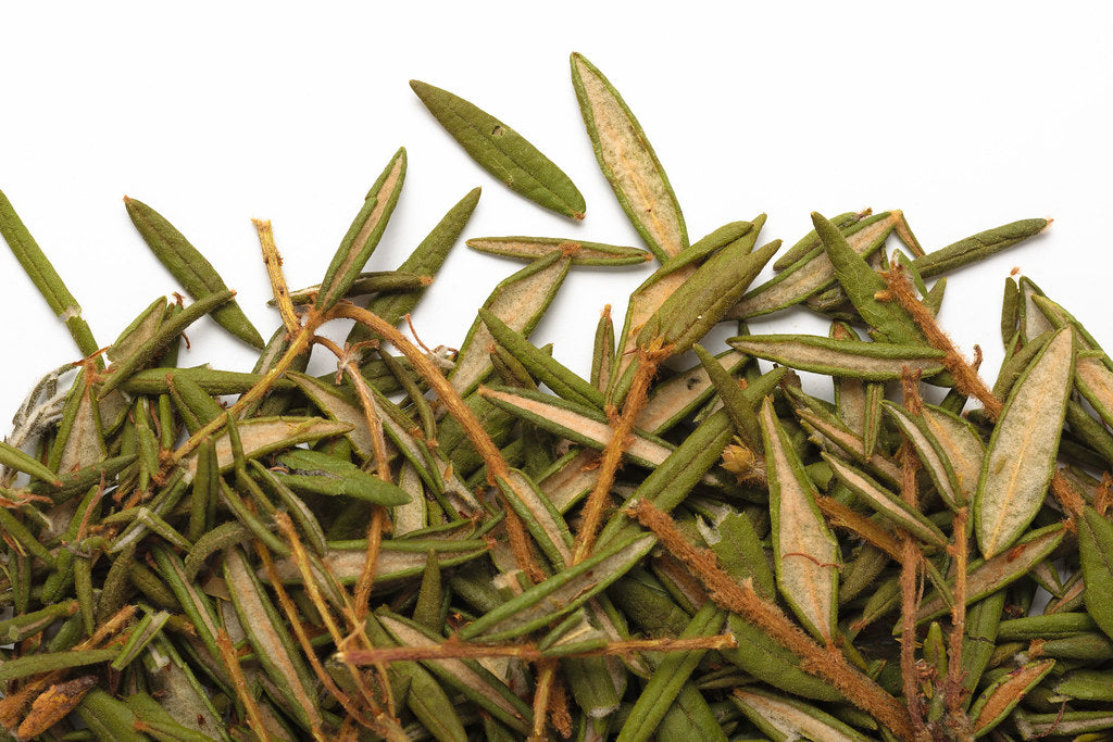 Thé du Labrador Camellia Sinensis - Vrac
