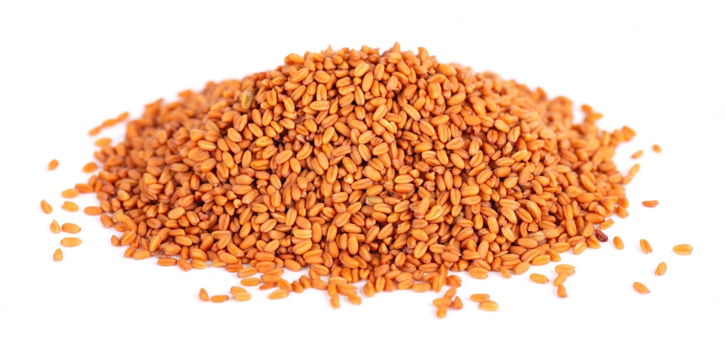 Graines de Caméline nature - Vrac