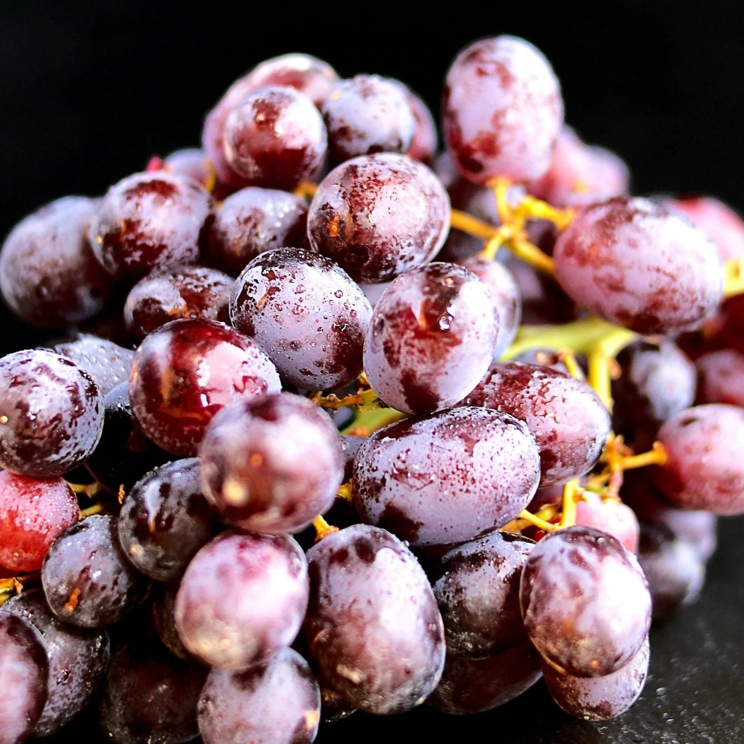 Vinaigre de vin rouge - Vrac