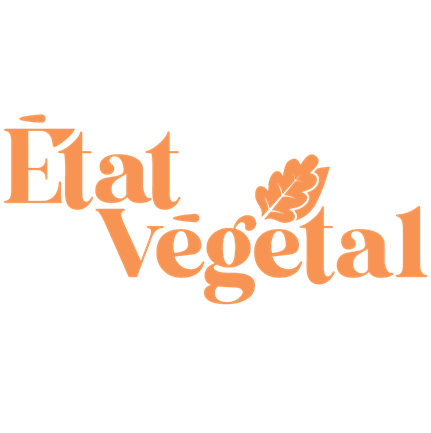 Croquettes végétaliennes surgelées - Vrac