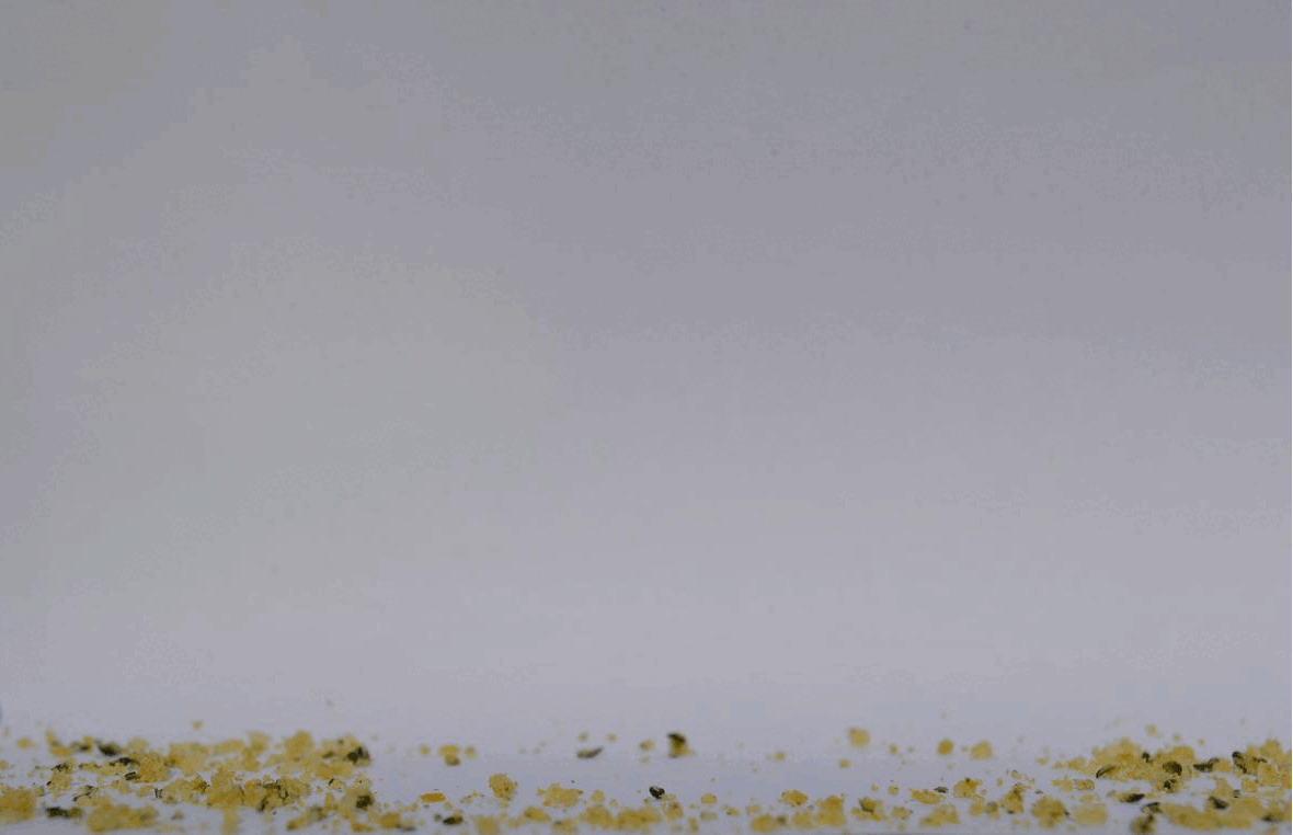 Craquelins de malt Drasca - Vrac