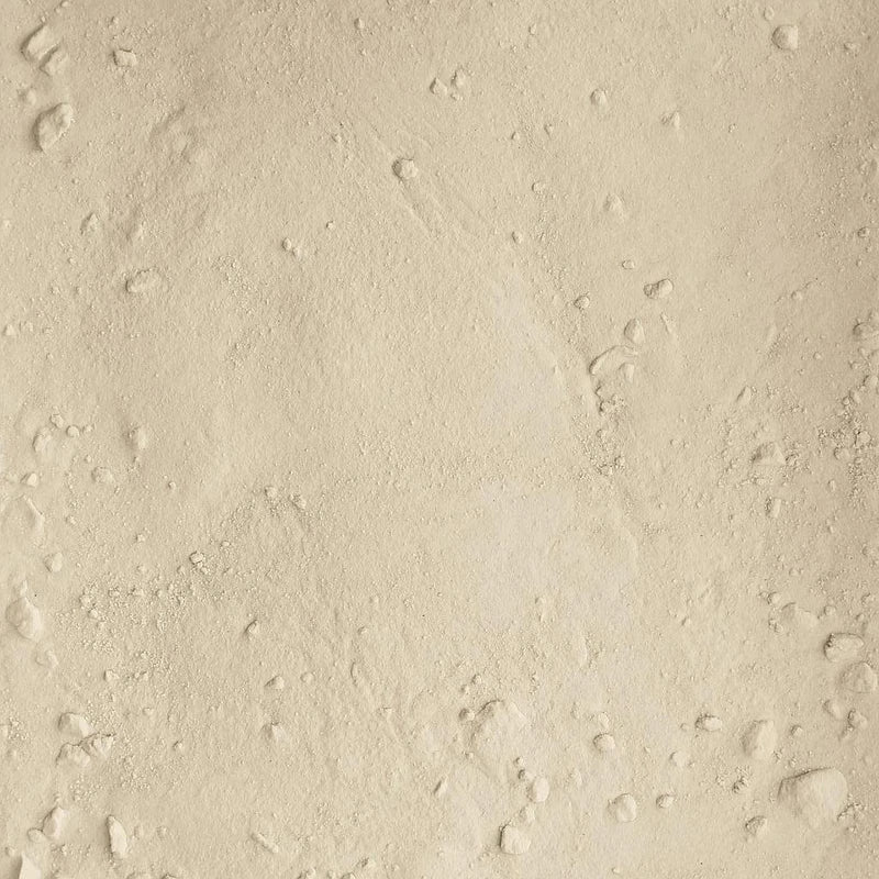 Oignon en poudre * - Vrac