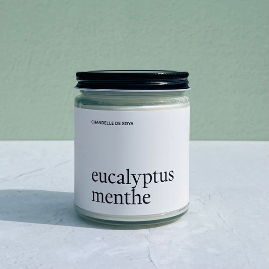 Chandelle de soya aux huiles essentielles