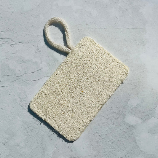 Luffa de cuisine