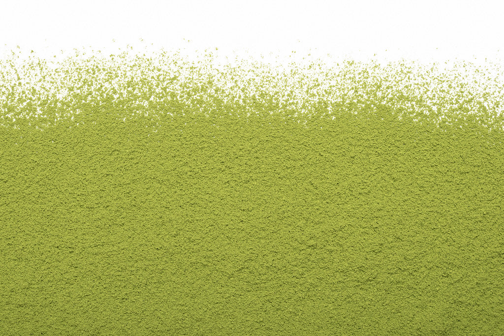 Matcha Barista Chine Camellia Sinensis - Vrac