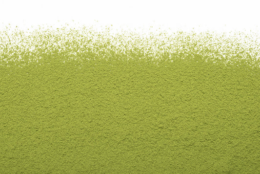 Matcha Barista Chine Camellia Sinensis - Vrac