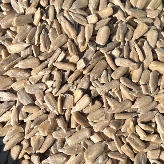 Graines de tournesol crues sans écale - Vrac