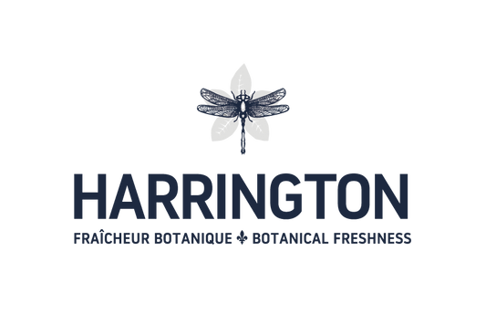 Eau de source pétillante - Baies de Genévrier