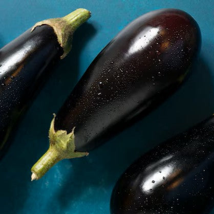 Aubergine