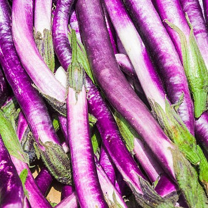 Aubergine asiatique