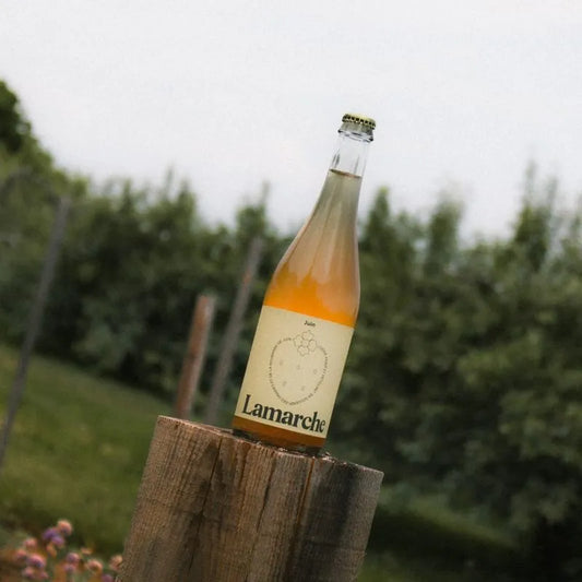 Cidre de pomme Lamarche