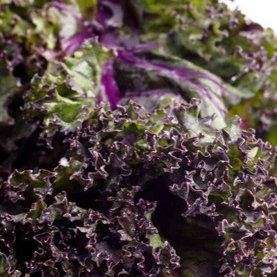 Kale rouge
