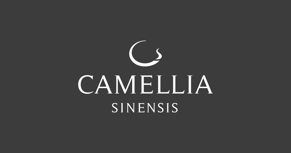 Sachet de thé en papier compostables Camellia Sinensis