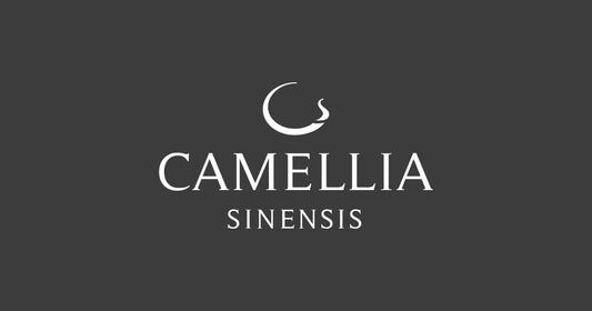 Infuseur à thé en inox Camellia Sinensis