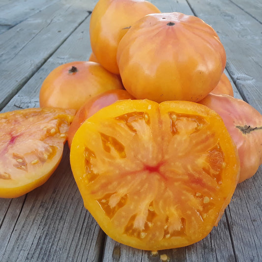 Tomate beefsteak Ananas - Semences biologiques