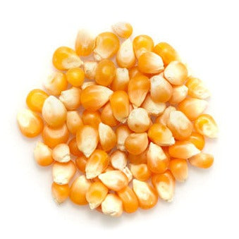 Maïs à éclater - Vrac