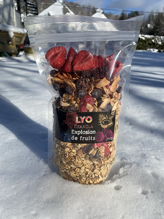 Granola aux fruits lyophilisés - Vrac