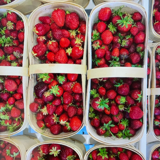 Fraises panier 4L