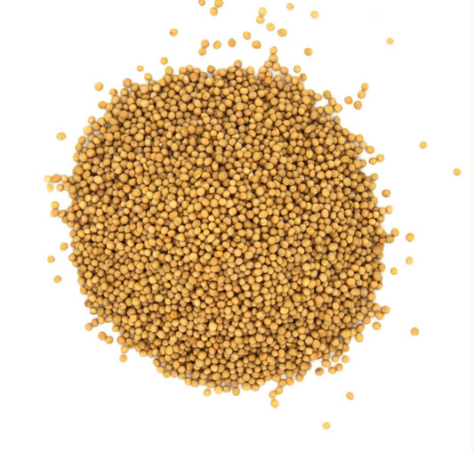 Graines de moutarde jaune entières - Vrac