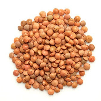 Lentilles brunes - Vrac