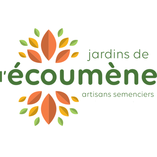 Tournesols d'ornement en mélange - Semences biologiques