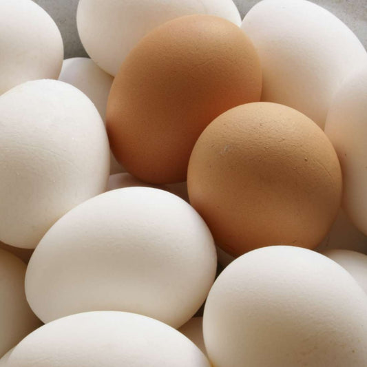 Oeufs de poules en liberté à l'unité