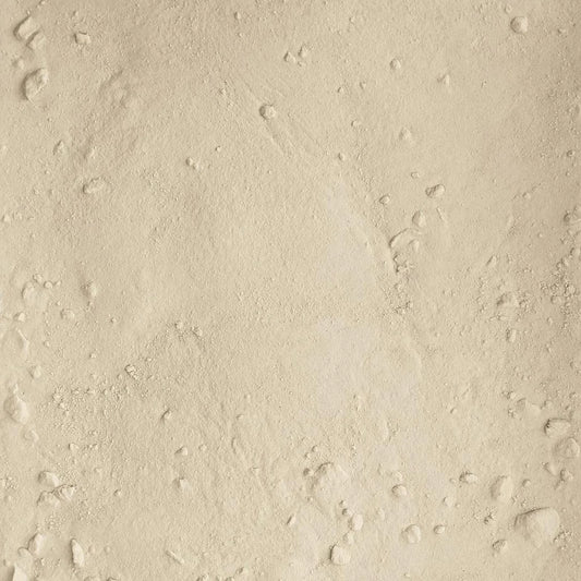 Oignon en poudre * - Vrac