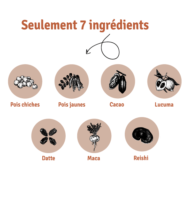 Poudre de protéine à base de plantes